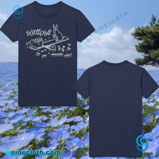 Wallows Rabbit Do You Remember When T-shirt 1HL6cDX