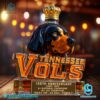 Tennessee Volunteers 126th Anniversary Custom Whiskey Bottle NyULtVl