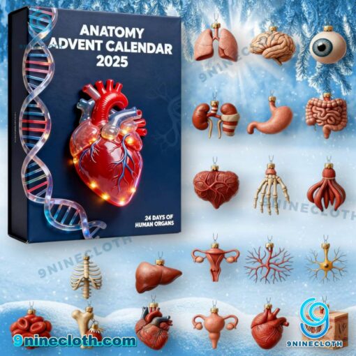 Anatomy Advent Calendar 2025 7qor3yt