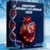 Anatomy Advent Calendar 2025-a evtz1ZR
