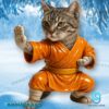 Kung Fu Cat Advent Calendar 2025-c 6pyaIDL